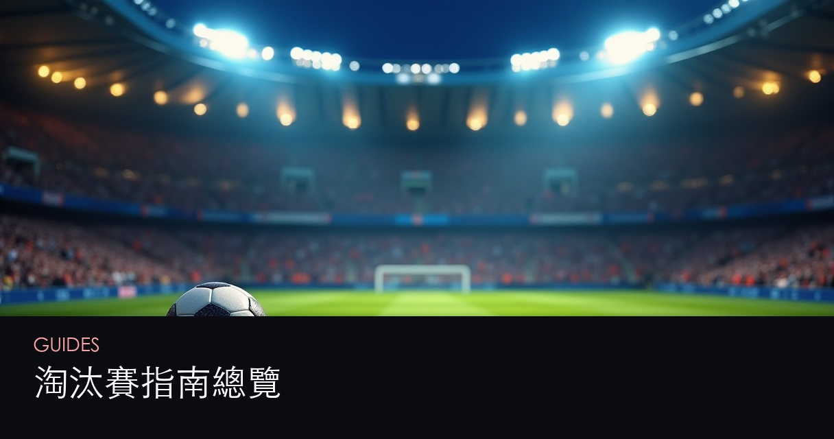 淘汰賽指南總覽